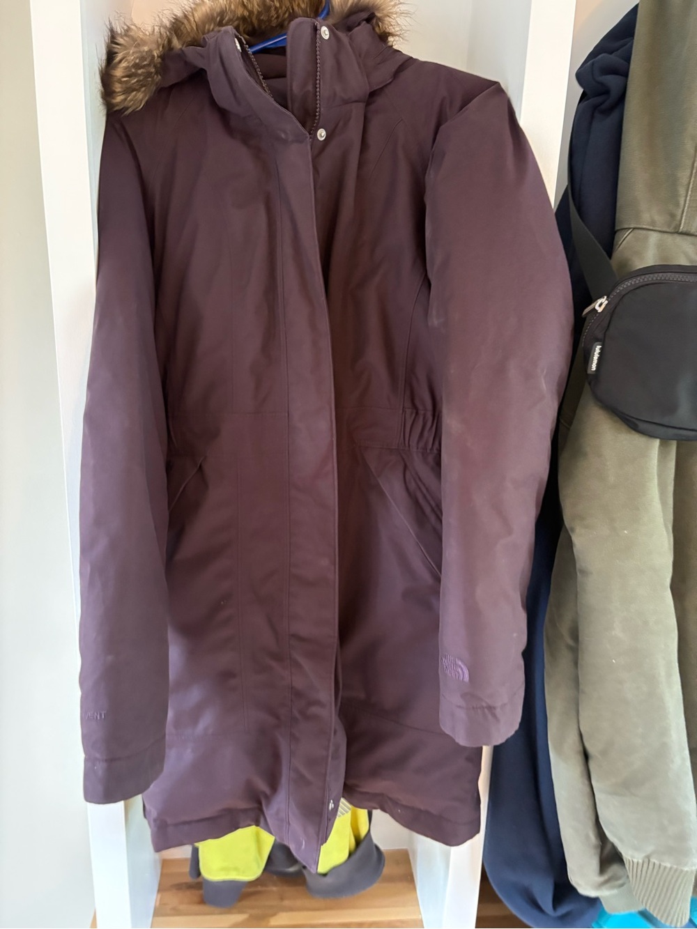 The North Face Women's Plum Ski Jacket with Faux-Fur Hood